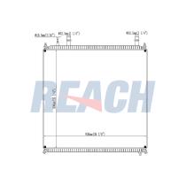 REACH COOLING 14210854142 - MANTGX ;2006-