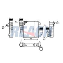 REACH COOLING 16122964G - CITROEN (DF-PSA)C5 AIRCROSS 1.6 ;2020-