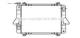 AVA DN2088 - RADIADOR TERMICO