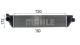 MAHLE CI669000P - PRODUCTO