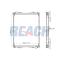 REACH COOLING 14210881142F - SCANIAK-SERIES ;2006-